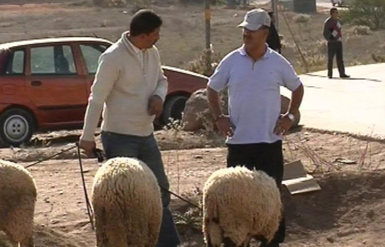 Noticias de Melilla. Informativo de la Ciudad Autónoma de Melilla. (27/11/09)