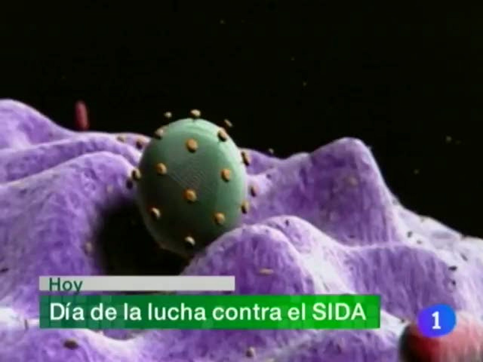 Telenavarra. Informativo Territorial de Navarra (01/12/09)