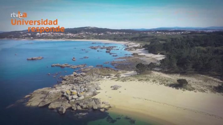 La aventura del Saber - ¿De qué depende la pendiente de una playa?