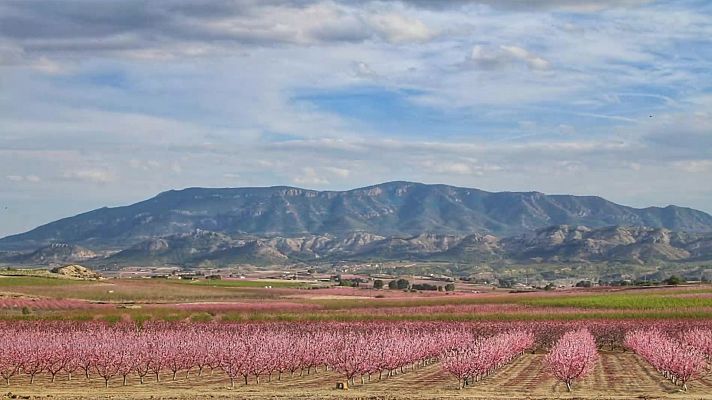 El tiempo - Las temperaturas máximas suben en el entorno de Valencia y bajan en casi toda la mitad norte peninsular