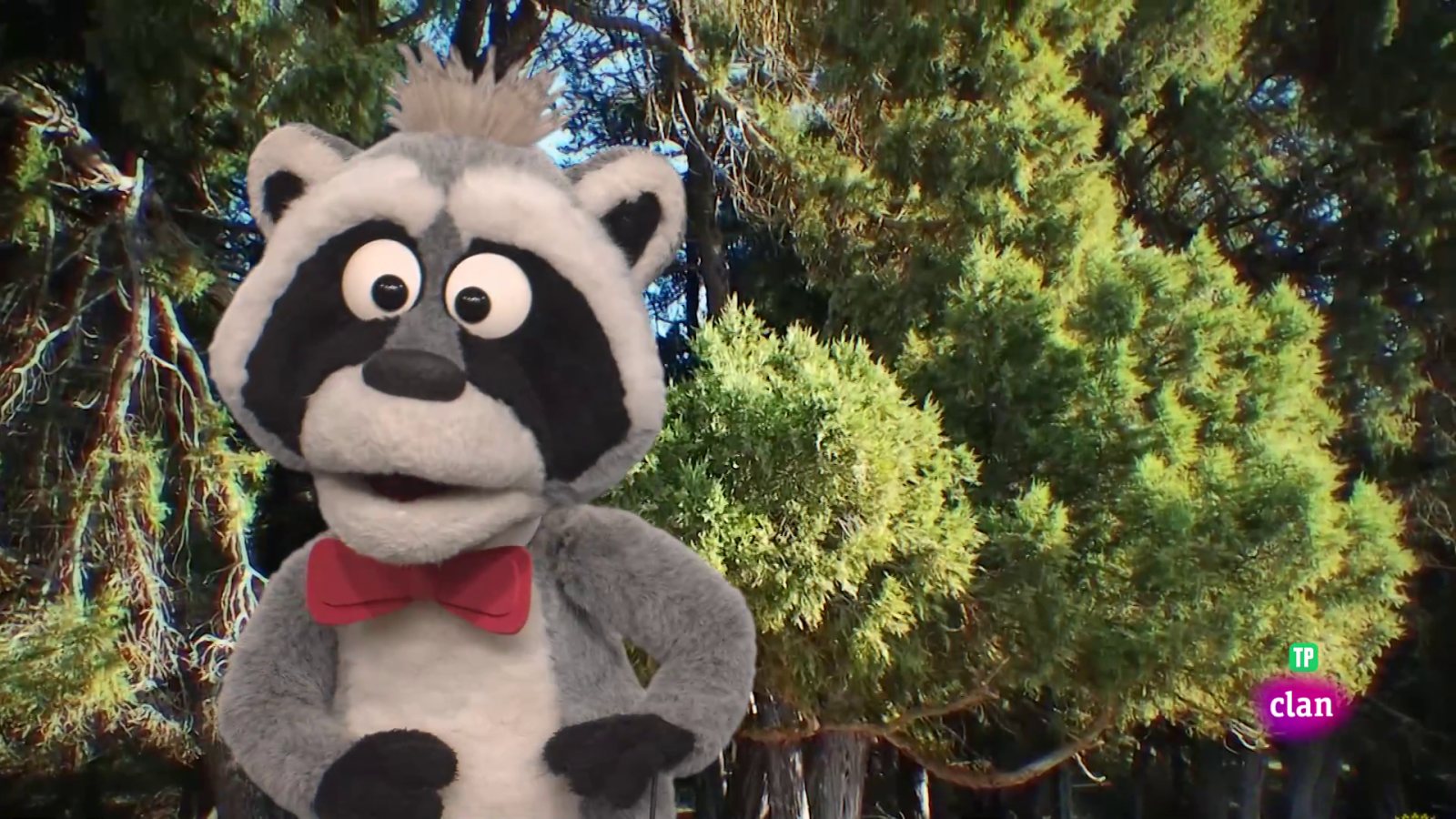 'Está mapachando' - Animales en Castilla y León y más - Aprendemos en Clan | Ver