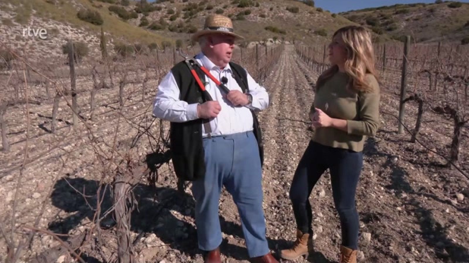 Aquí la Tierra - Trucos para podar la vid