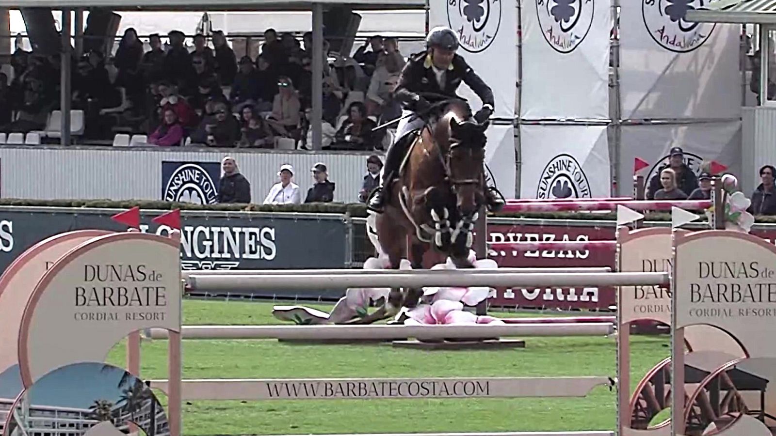 Hípica - Circuito Sunshine Tour. GP Equine América - ver ahora