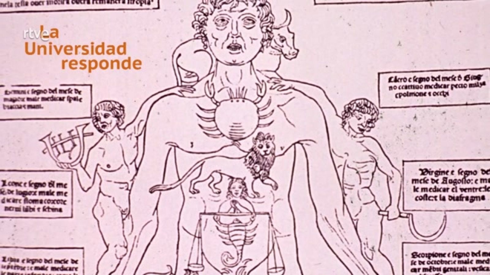 La aventura del saber -  ¿Cuál es el origen del término gripe?