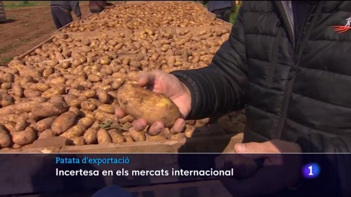 Informatiu Balear - La primera patata d'enguany