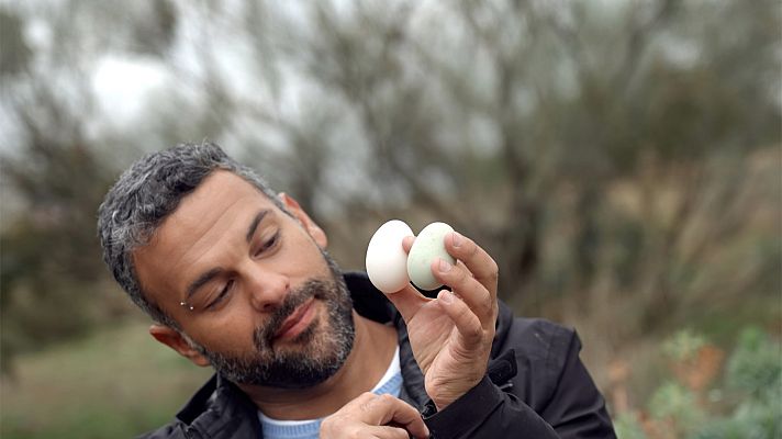 Las Rutas de... - Sierra Norte de Madrid, de pobre, nada