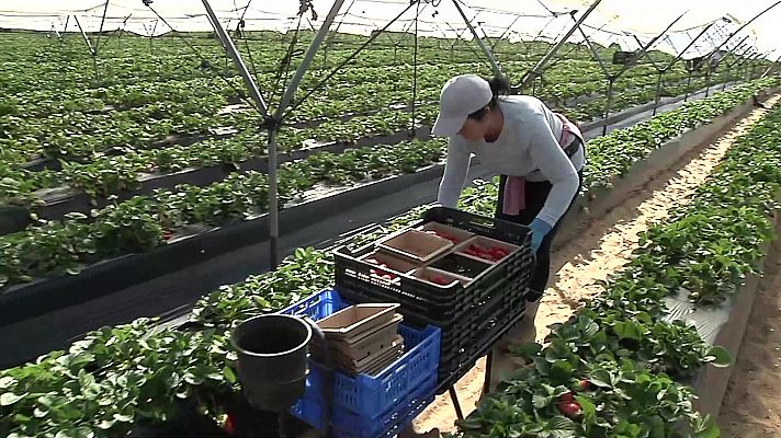 Aquí hay trabajo - Aquí hay trabajo - 04/03/22