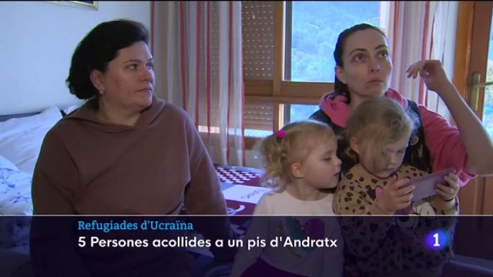 Informatiu Balear - Acollir a un refugiat