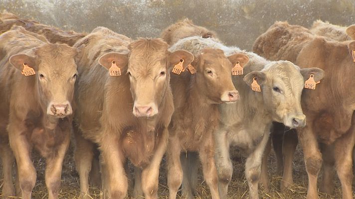 Agrosfera - Agrosfera - 05/03/22