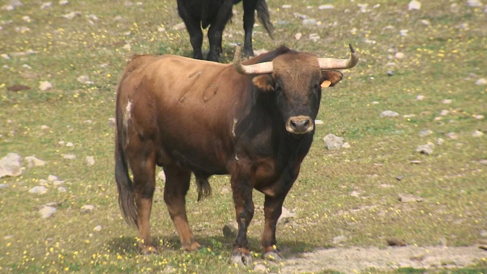 Tendido cero - 05/03/22 - ver ahora