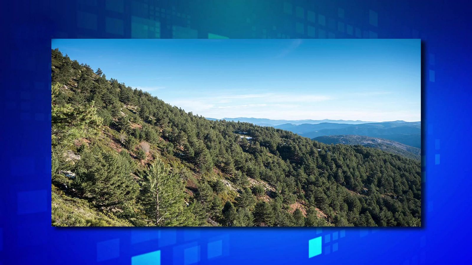 Saber y ganar. Edición de fin de semana - 05/03/22 - ver ahora