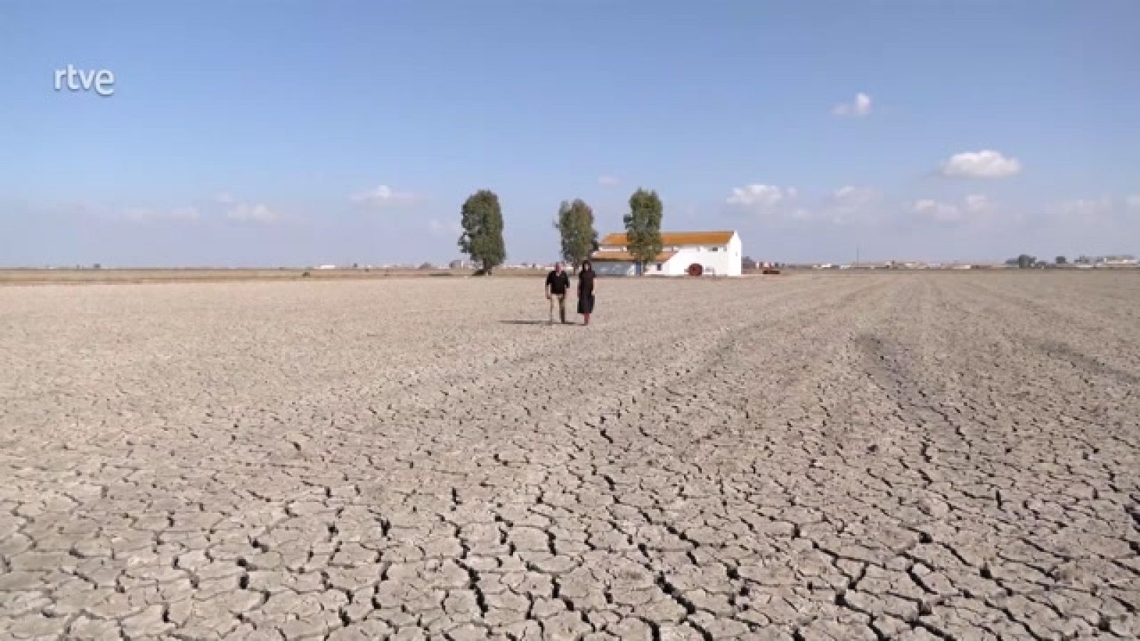 Aquí la Tierra - Los arrozales sevillanos, paisaje y ambientazo