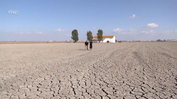 Aquí la Tierra - Los arrozales sevillanos, paisaje y ambientazo