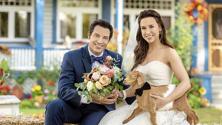 Cine internacional - La boda