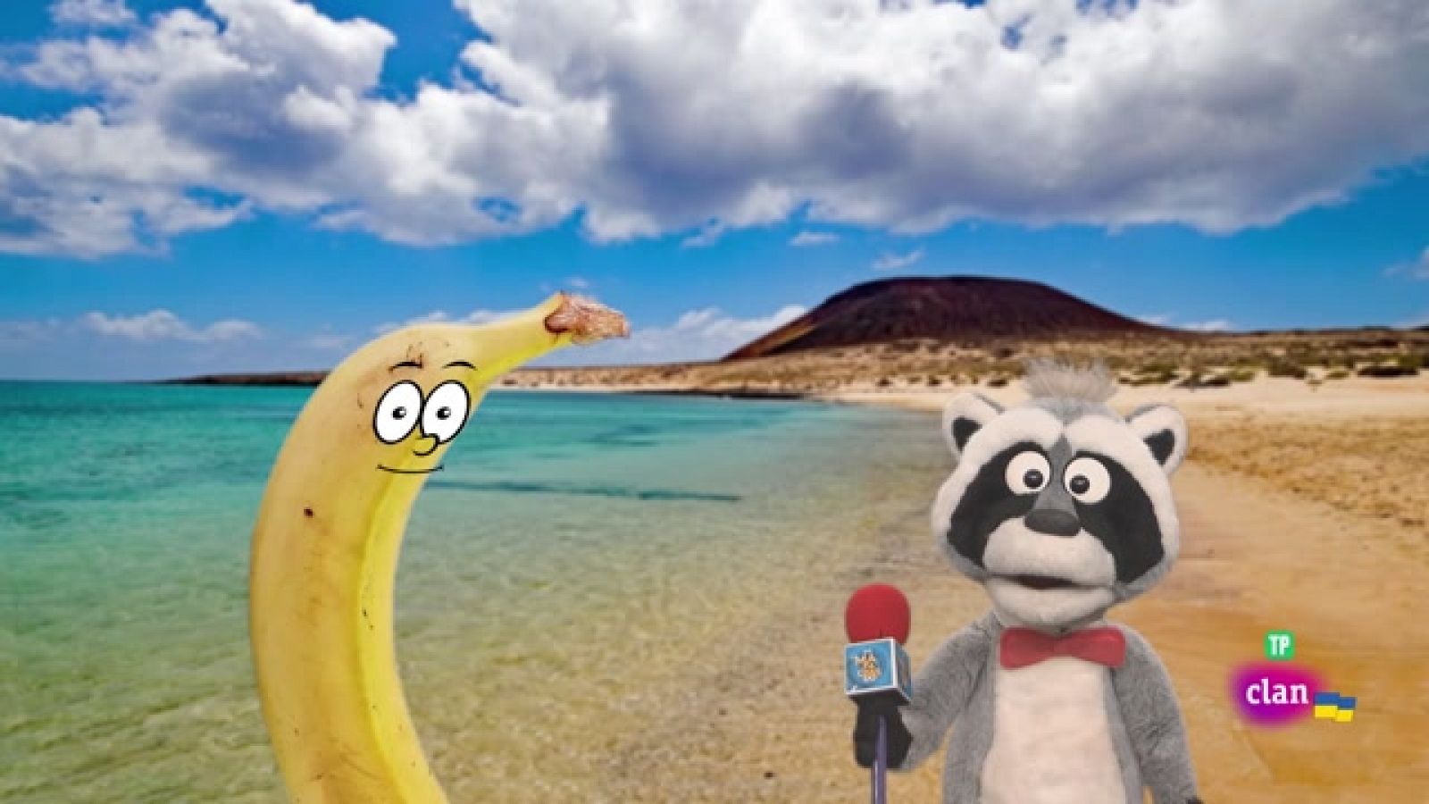 ¡Mapache canario! - Aprendemos en Clan | Ver