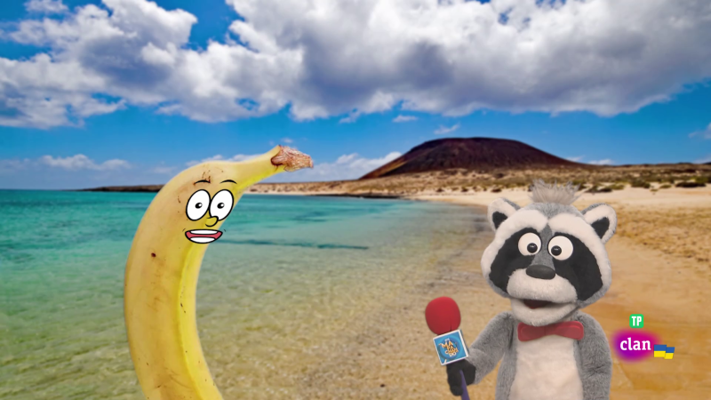 'Est� mapachanso' - Entrevista platanuda y m�s - Aprendemos en Clan | Ver