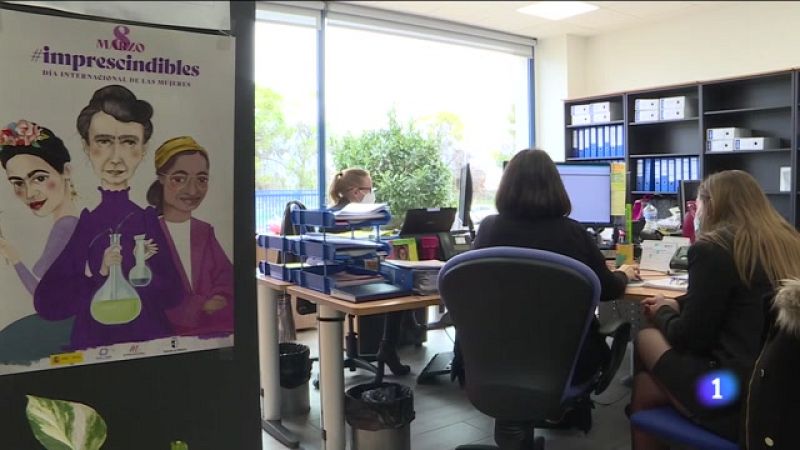 Planes de igualdad en empresas de Castilla-La Mancha - Noticias de Castilla-La Mancha | Ver