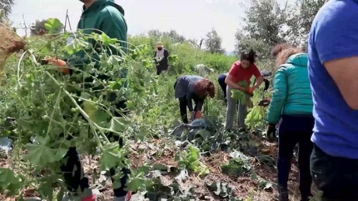 La aventura del Saber - Inter Rives: Um-Sliman, agricultura ecológica en Palestina