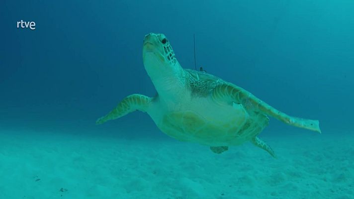 Australia con Julia Bradbury - Del arrecife hasta la selva