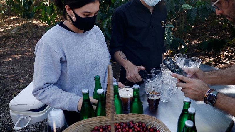 Cafetales como herramienta para la emancipación de la mujer | Ver