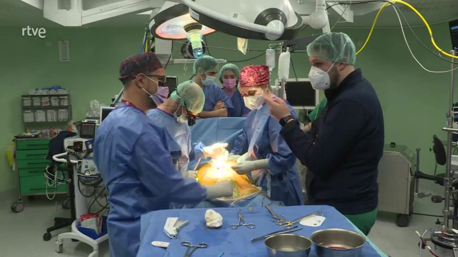 Repor - La quimera del trasplante - ver ahora