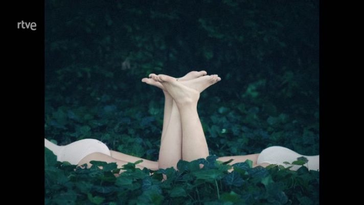 La aventura del Saber - Boek visual: Irene Cruz