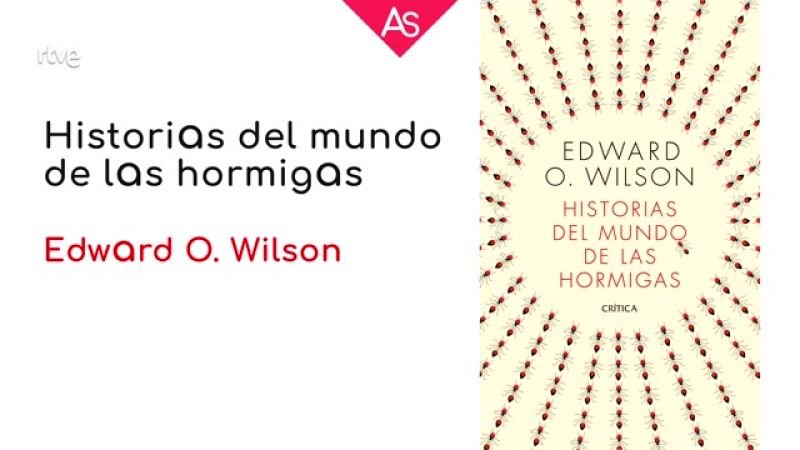 La aventura del saber - Reseñamos 'Historias del mundo de las hormigas' (2022), de Edward O. Wilson