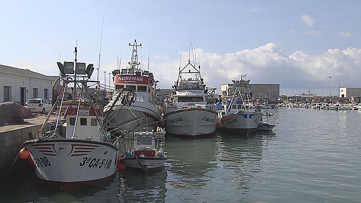 Noticias Andalucía - Los pesqueros de Barbate no salen a faenar