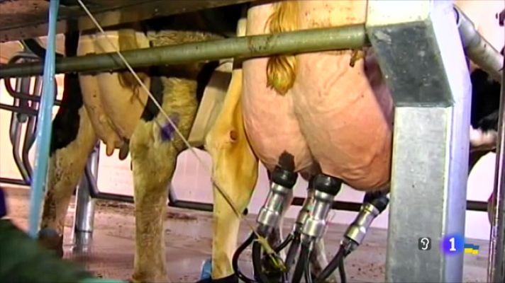 Telecanarias - Canarias en 2' - 10/03/2022