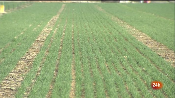 L'Informatiu - El Vespre - 10/03/2022