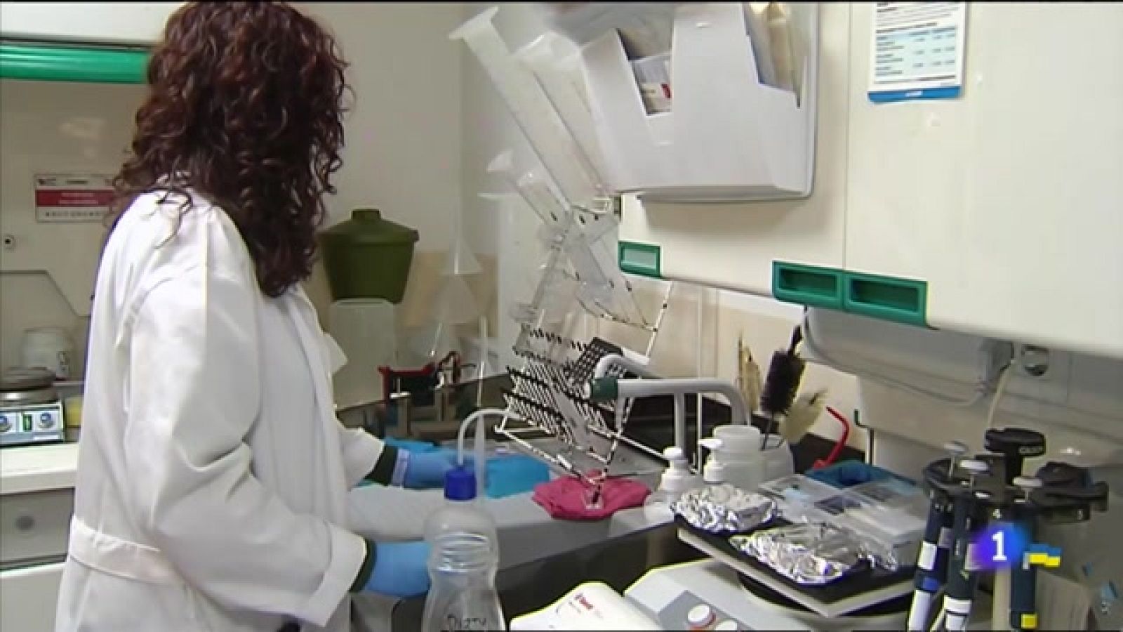 Descubren una proteína que podría proteger el cerebro contra el alzhéimer