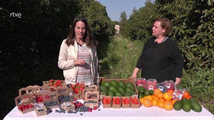 Aquí la Tierra - Fiestín de frutas en Huelva