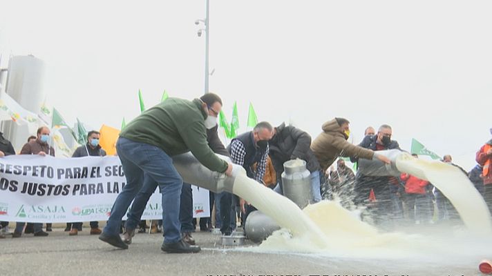 Noticias Andalucía - Sectores de la ganadería y el lácteo contra la crisis