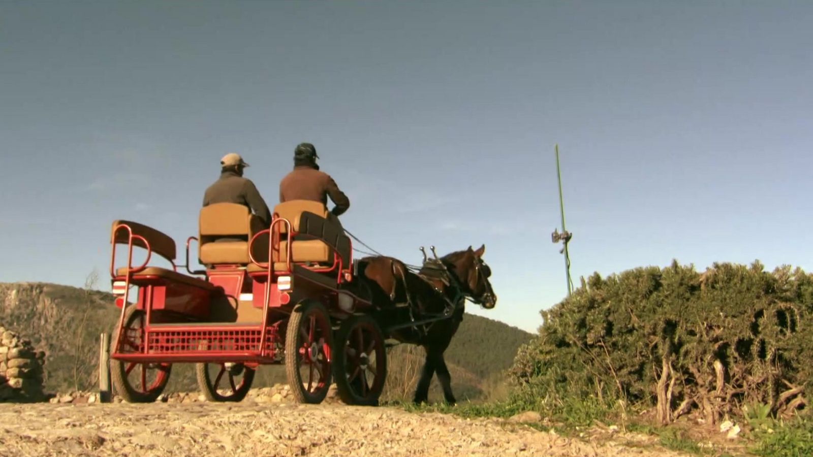 Zoom Tendencias - 13/03/22 - ver ahora