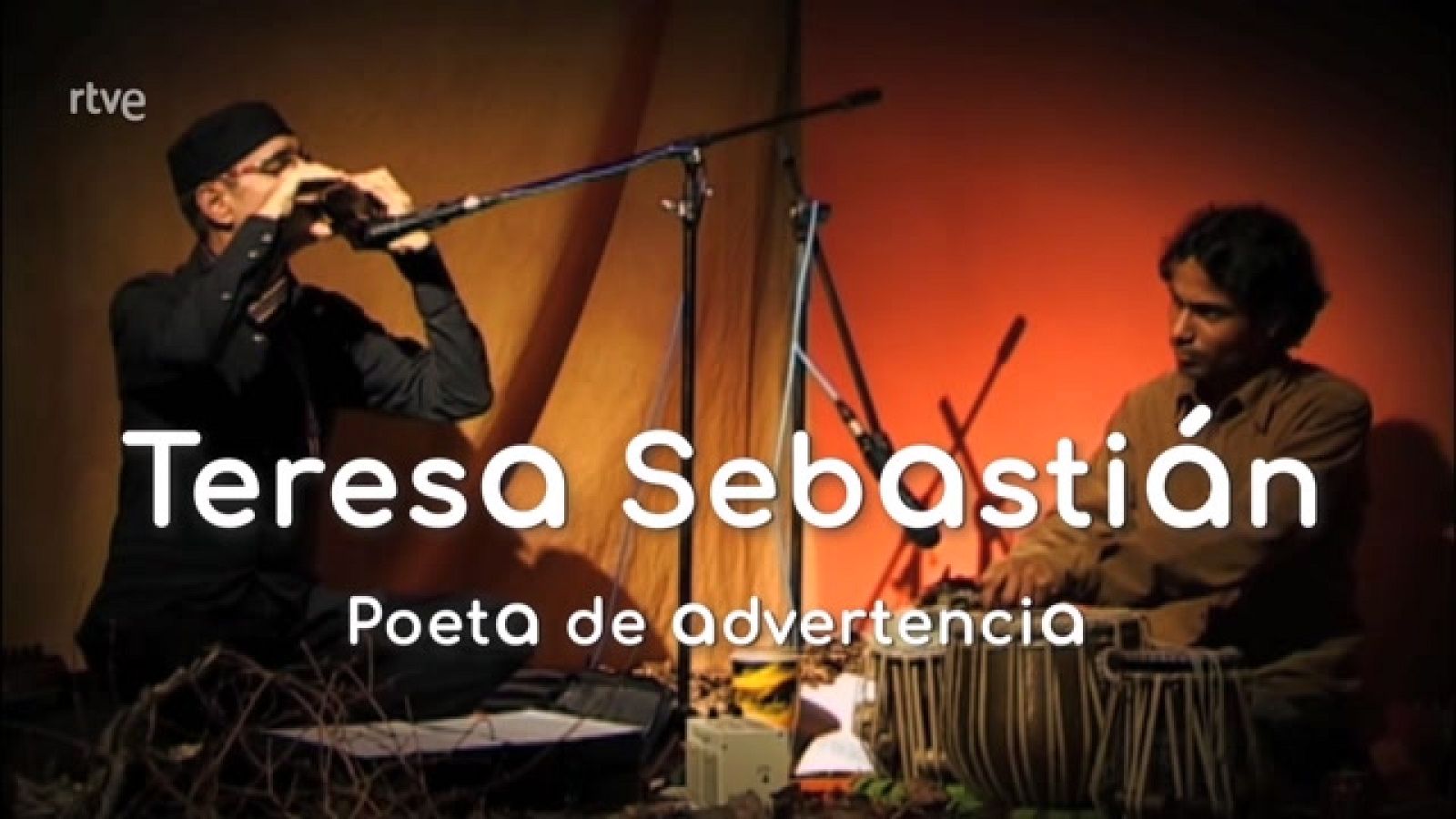 La aventura del saber - Teresa Sebastián. Poeta de advertencia - ver ahora