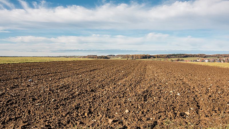 Los agricultores sugieren cultivar las tierras en barbecho para producir más cereales