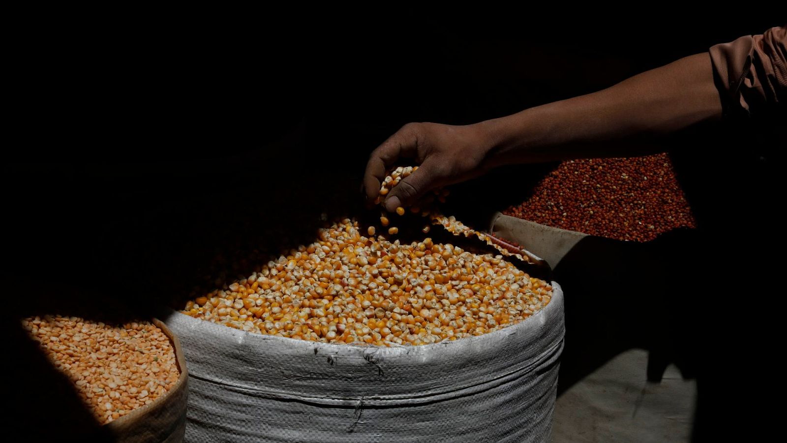 La guerra de Ucrania y el mercado del grano europeo | Ver