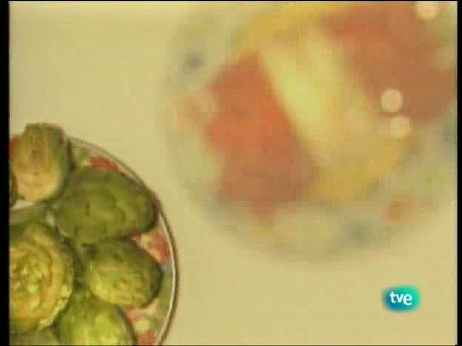 A pedir de boca - Mejillón de Galicia - Ver ahora