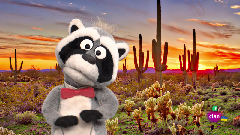 'Est� mapachando' - Cactus a todo ritmo y m�s - Aprendemos en Clan | Ver