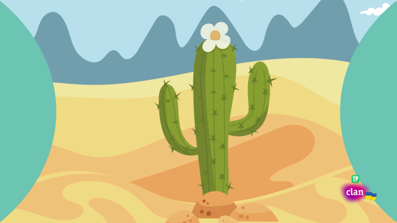 CIENCIAS SOCIALES - El cactus - Aprendemos en Clan | Ver