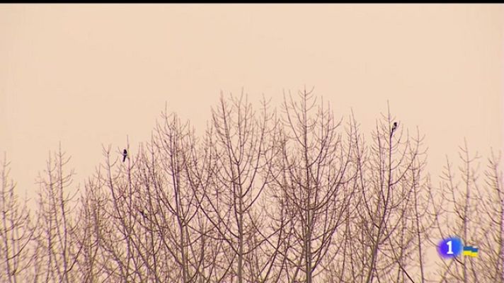 Panorama Regional - Panorama Regional - 15/03/22