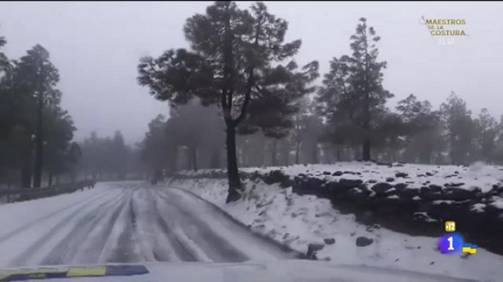 Cerca de ti - Cerca de ti - 15/03/2022