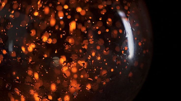 ¡Qué animal! - La luz de la luciérnaga