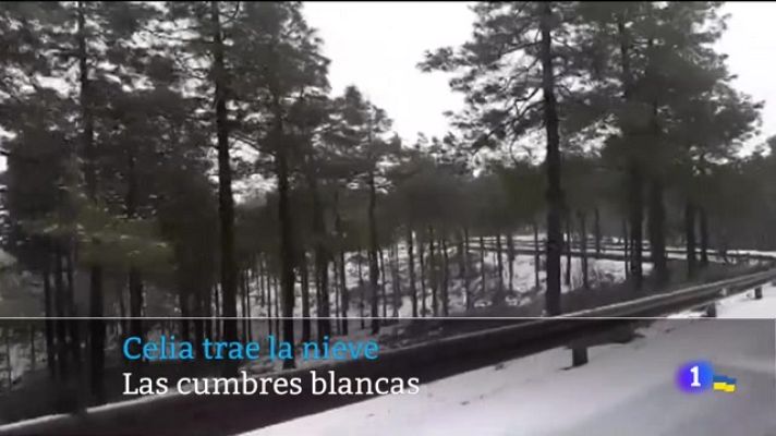 Telecanarias - Telecanarias - 15/03/2022