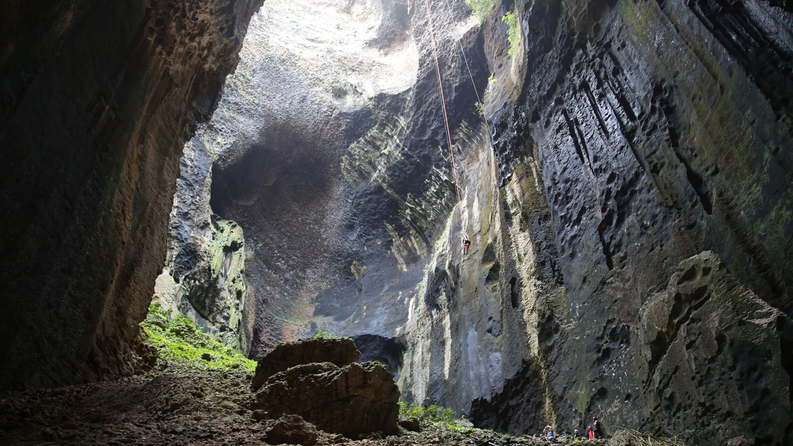 La conquista de los cielos de David Attenborough - Episodio 3: Triunfo - ver ahora