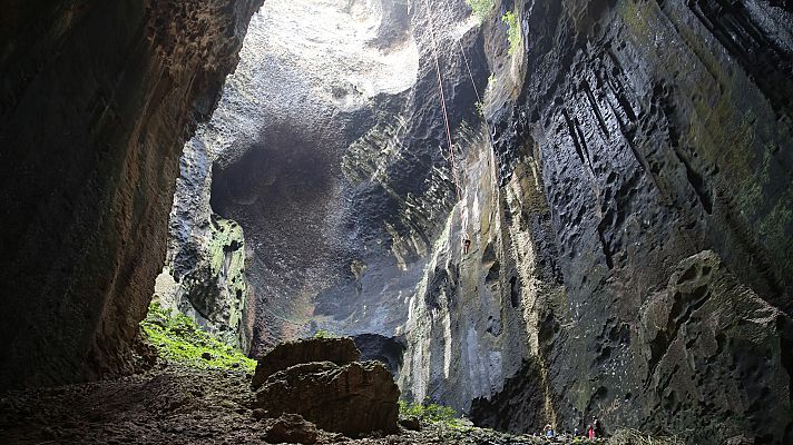 La conquista de los cielos de David Attenborough - Triunfo