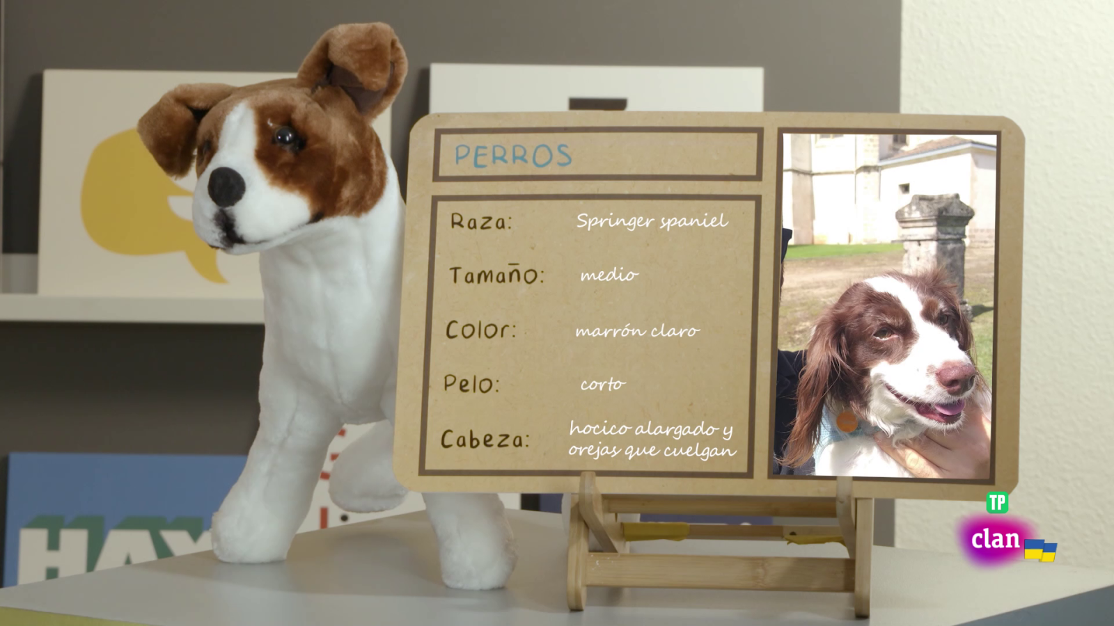 LENGUA - Ficha informativa - Aprendemos en Clan | Ver