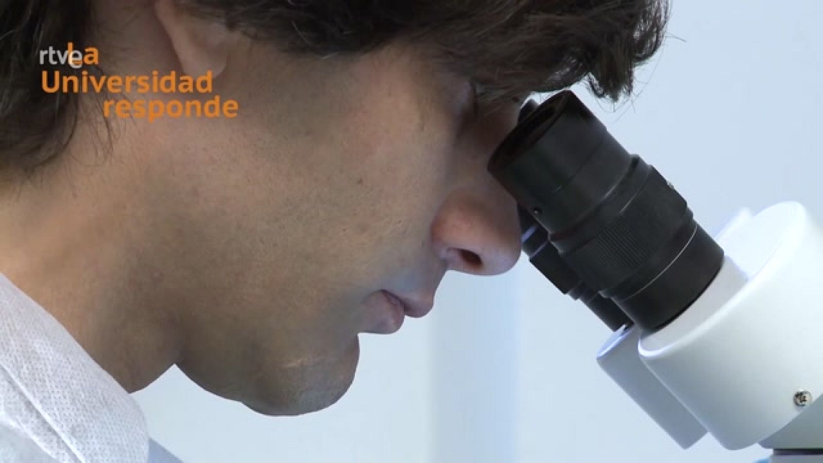 La aventura del saber - ¿Por qué usamos animales en la investigación en biomedicina? - ver ahora