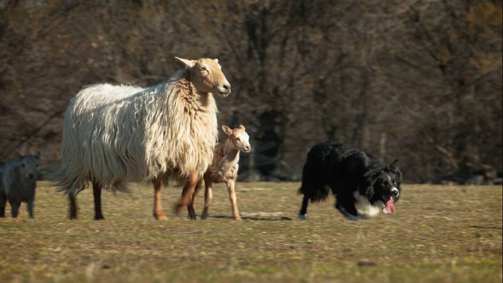 Aquí la Tierra - Aquí la Tierra - 17/03/22