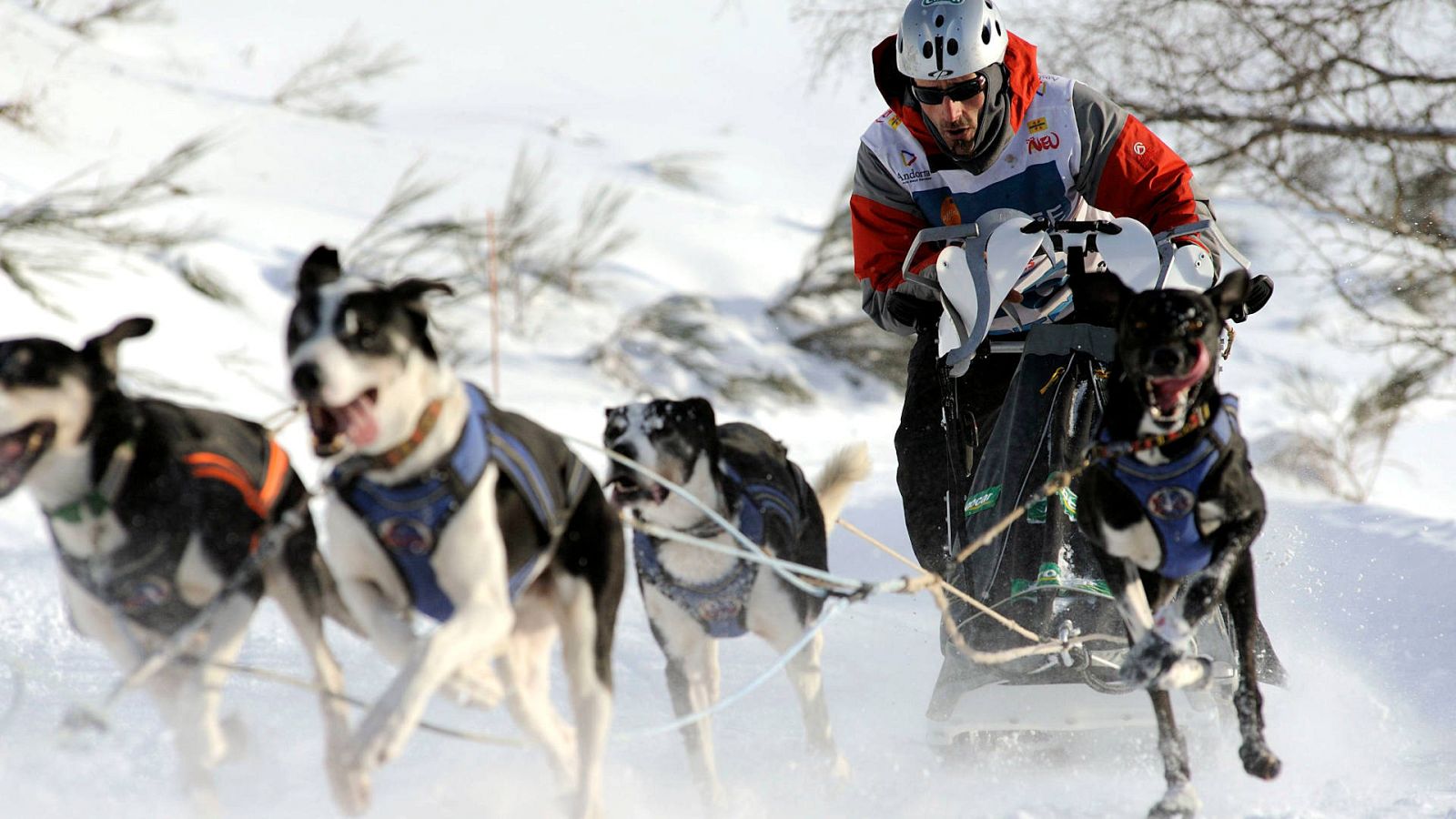 El mushing, según el doble campeón del mundo Iker Ozkoidi -- Ver ahora